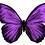 violetviceroy